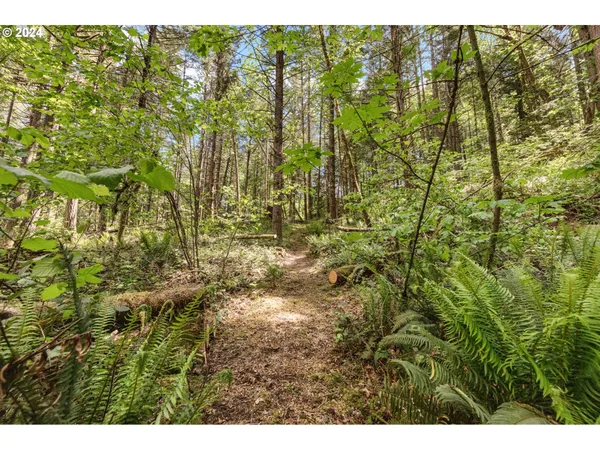 $260,000 | 0 Tonga Lane, Springfield, OR 97478