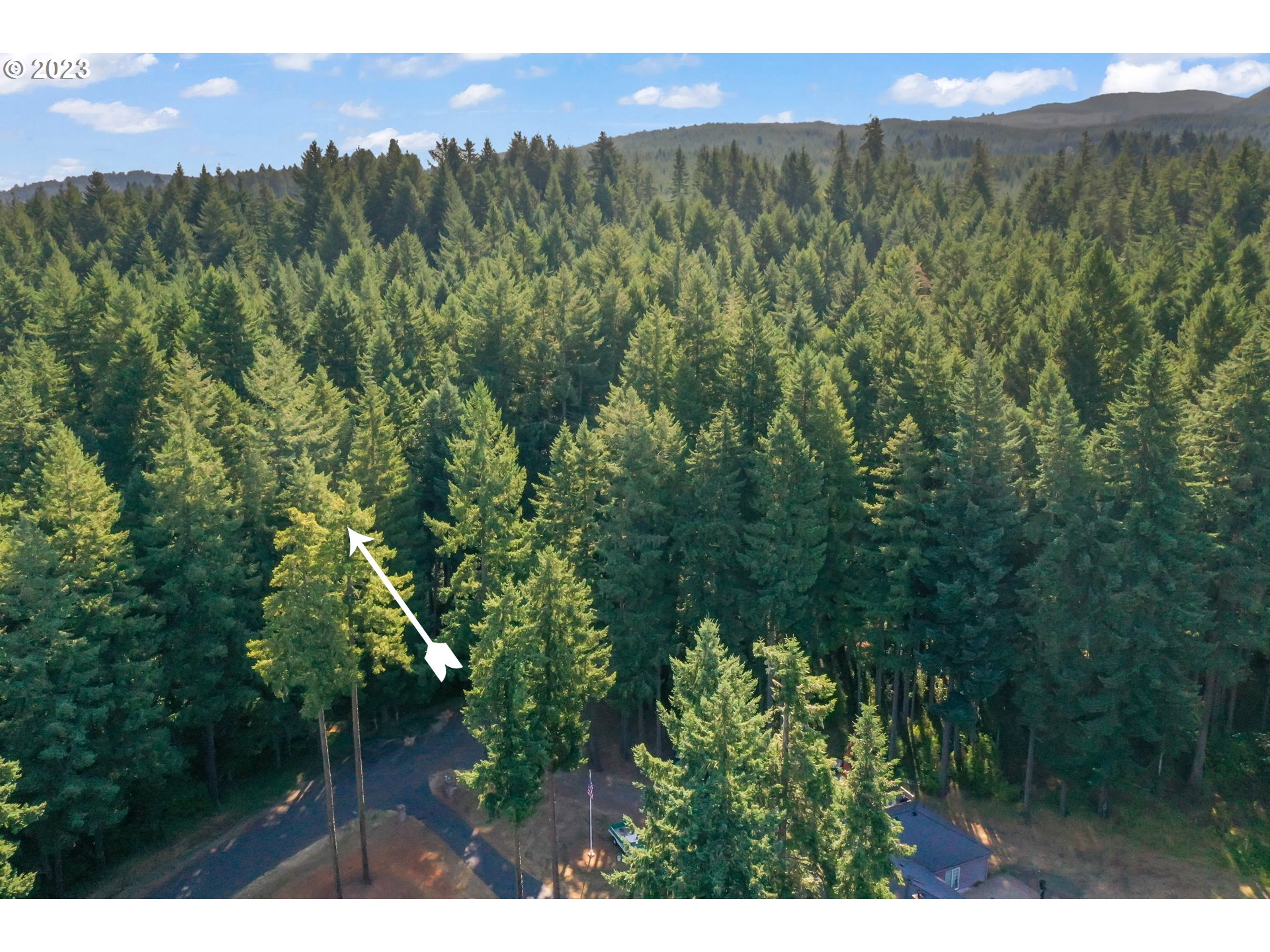 0 Tonga Lane Springfield, OR 97478 - Photo 18 of 21