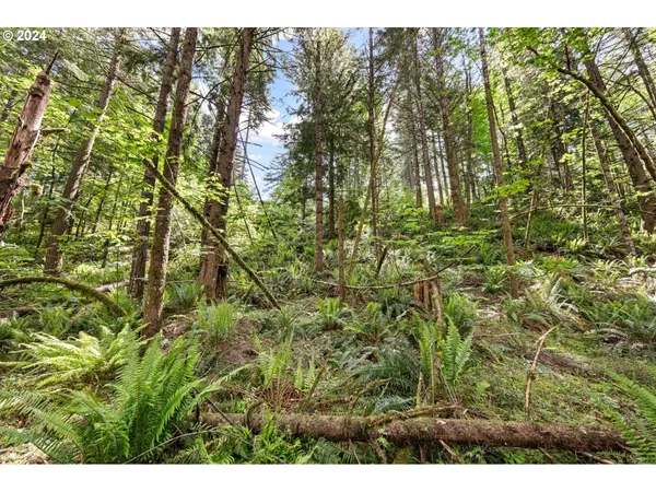 $260,000 | 0 Tonga Lane, Springfield, OR 97478