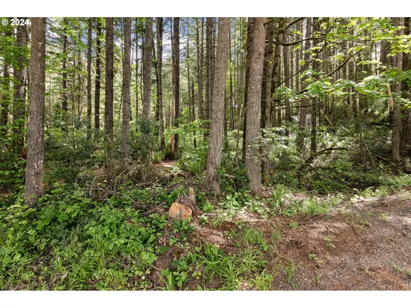 $260,000 | 0 Tonga Lane, Springfield, OR 97478