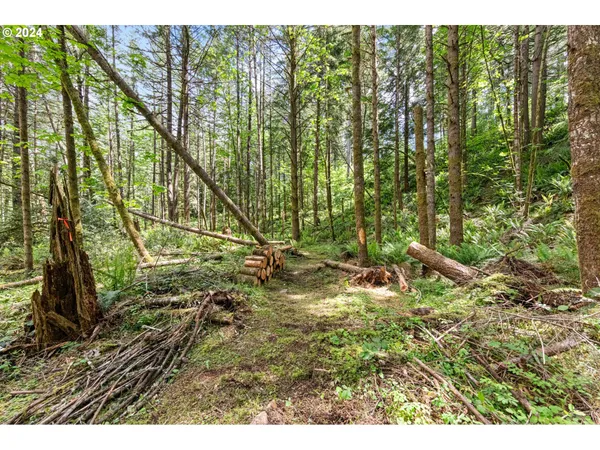 $260,000 | 0 Tonga Lane, Springfield, OR 97478