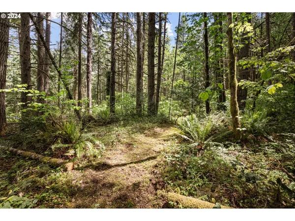 $260,000 | 0 Tonga Lane, Springfield, OR 97478