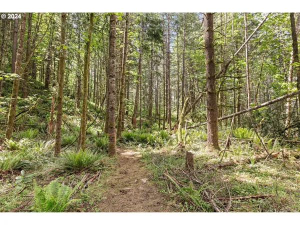 $260,000 | 0 Tonga Lane, Springfield, OR 97478