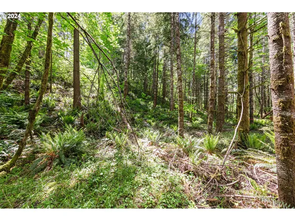 $260,000 | 0 Tonga Lane, Springfield, OR 97478