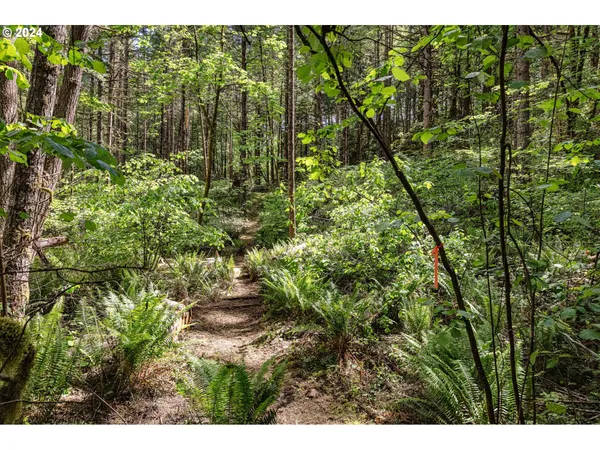 $260,000 | 0 Tonga Lane, Springfield, OR 97478