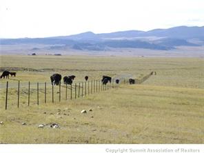 101 Tpra Road Hartsel, CO 80449 - Photo 11 of 25 Gallery Image 11