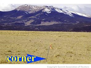 101 Tpra Road Hartsel, CO 80449 - Photo 13 of 25 Gallery Image 13