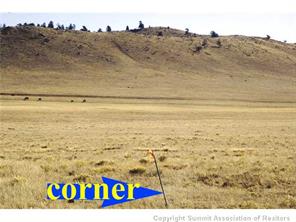 101 Tpra Road Hartsel, CO 80449 - Photo 16 of 25 Gallery Image 16