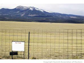 101 Tpra Road Hartsel, CO 80449 - Photo 17 of 25 Gallery Image 17