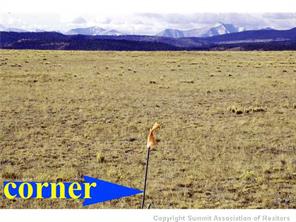 101 Tpra Road Hartsel, CO 80449 - Photo 6 of 25 Gallery Image 6