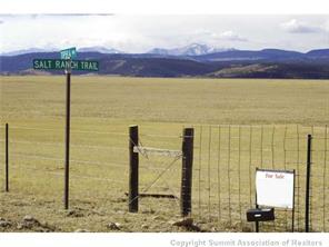 101 Tpra Road Hartsel, CO 80449 - Photo 10 of 25 Gallery Image 10