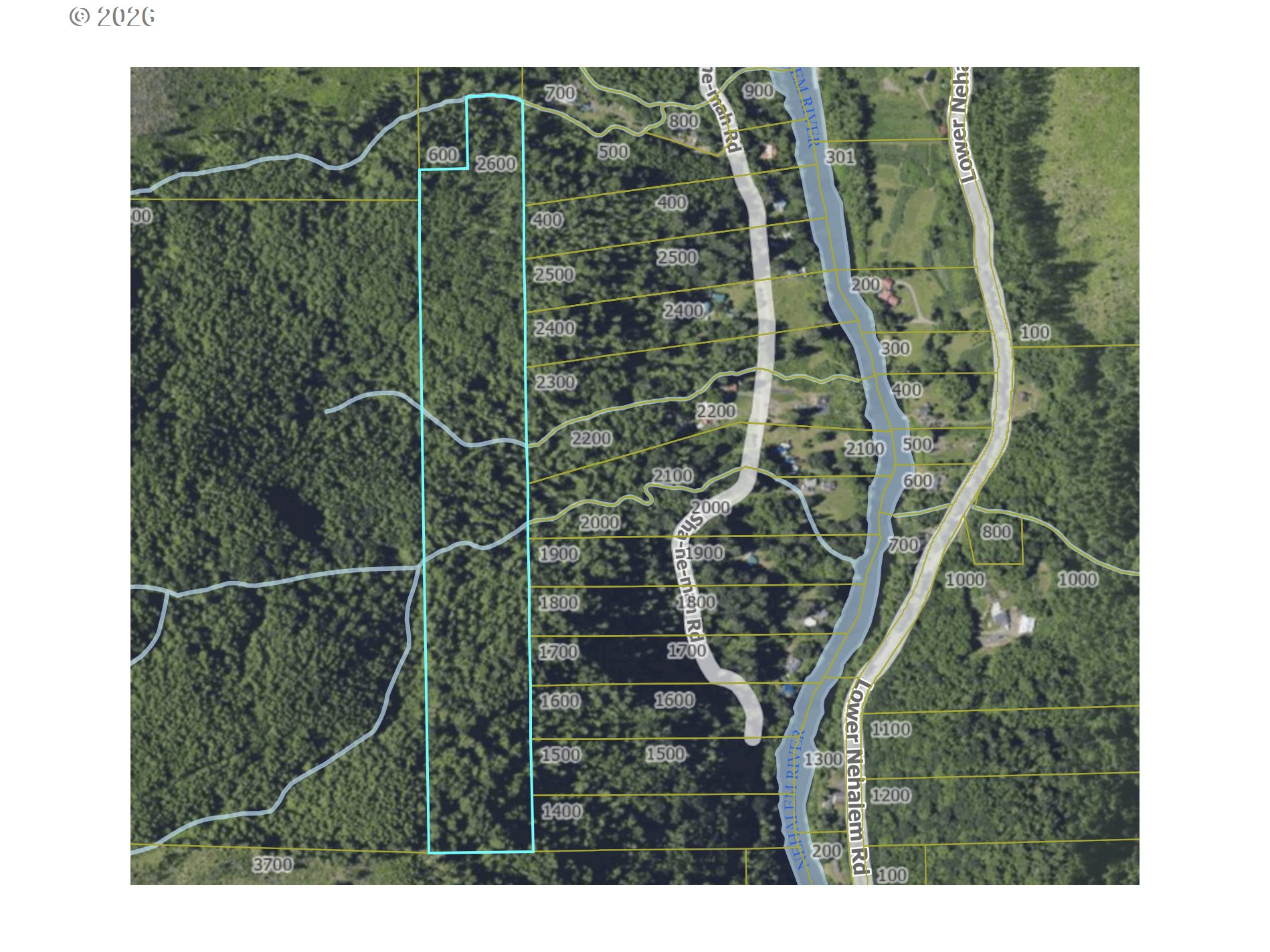 a view of a plant in a field