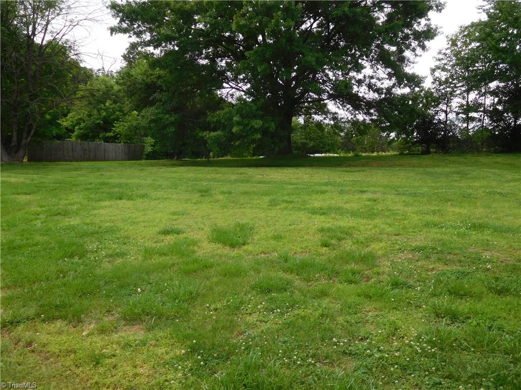 255 Jones Road Winston-Salem, NC 27107 - Photo 24 of 26 Tons of outdoor space to roam.