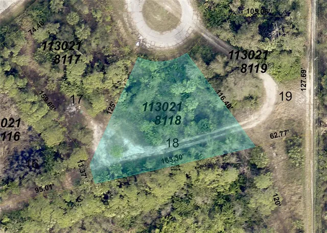 a view of a plant in a garden