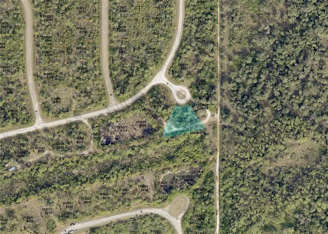 a bird view of a forest