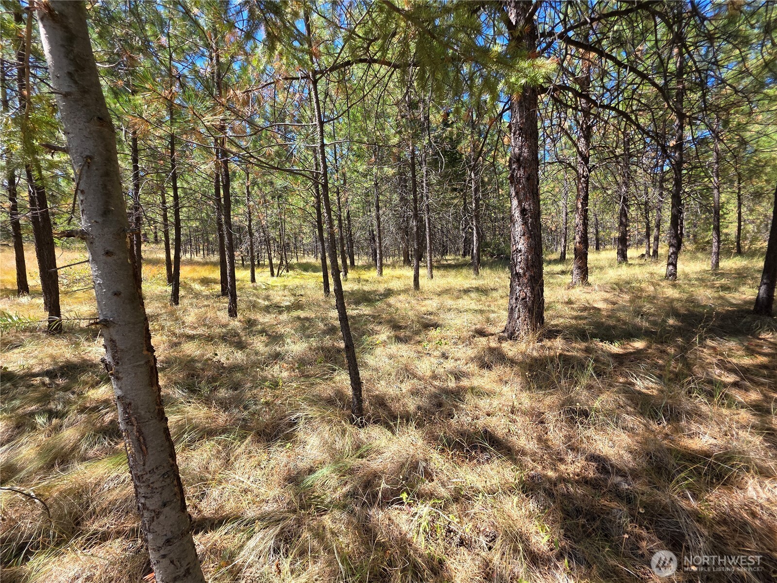 330 Bench Creek Road Tonasket, WA 98855 - Photo 12 of 28