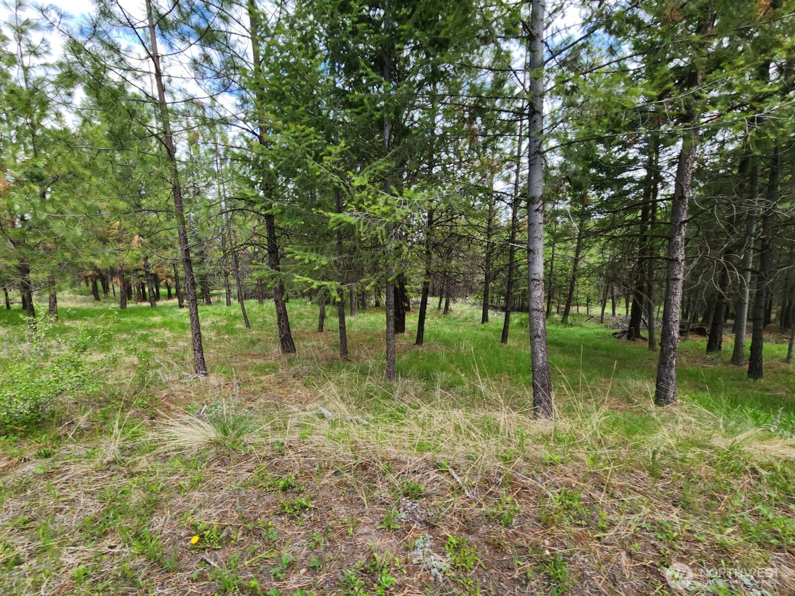 330 Bench Creek Road Tonasket, WA 98855 - Photo 21 of 28