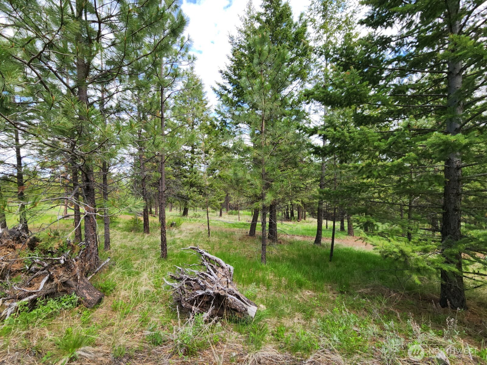 330 Bench Creek Road Tonasket, WA 98855 - Photo 25 of 28