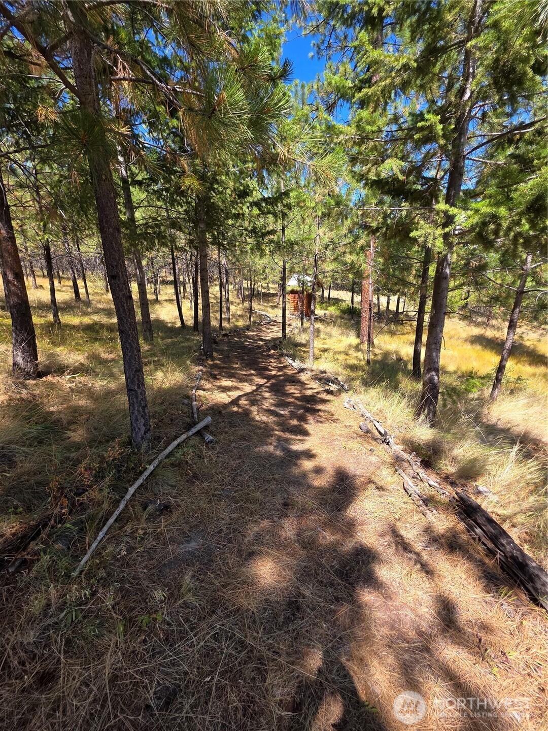 330 Bench Creek Road Tonasket, WA 98855 - Photo 10 of 28