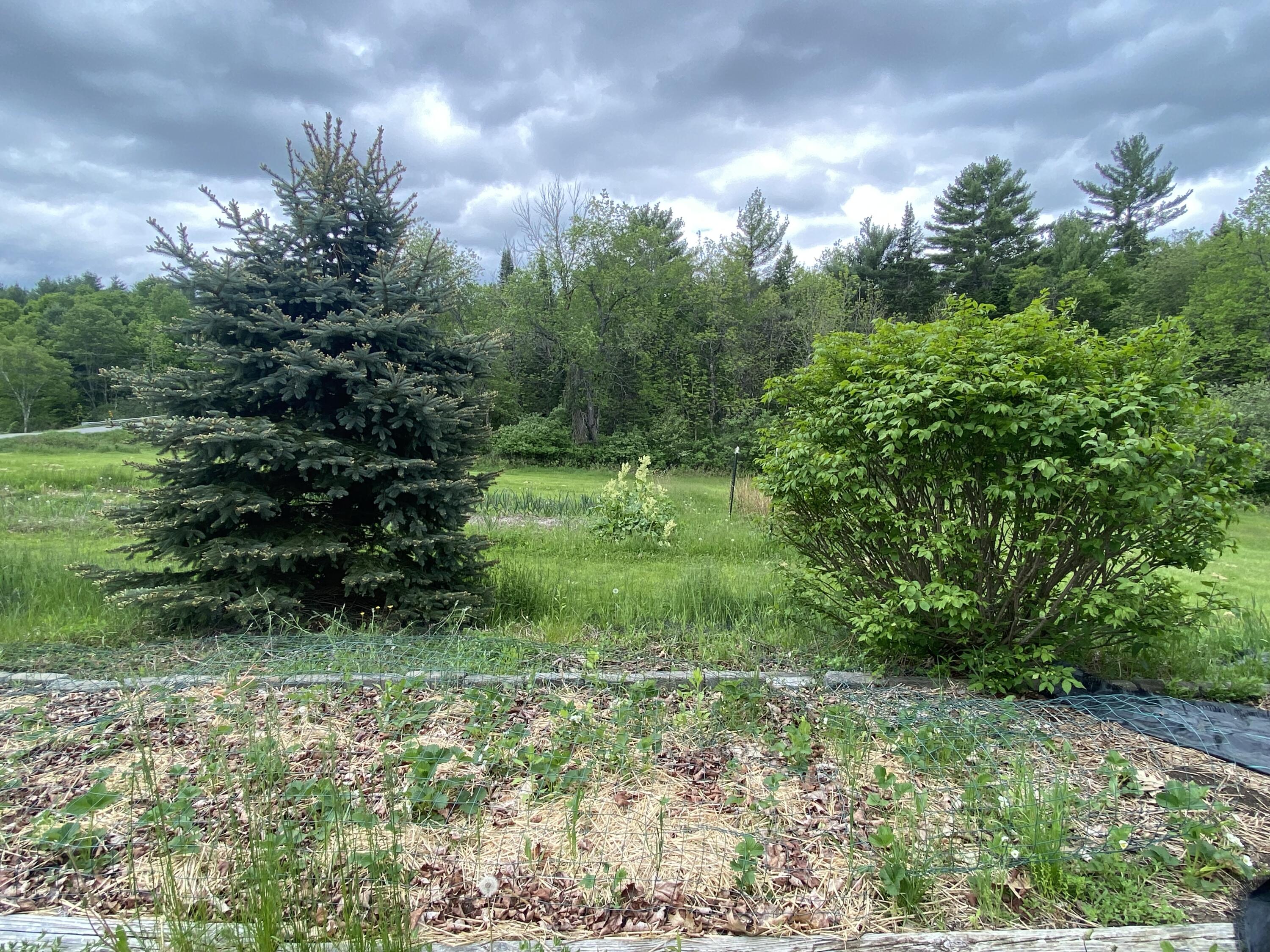 140 Fahi Pond Road Anson, ME 04958 - Photo 36 of 45 IMG_6631