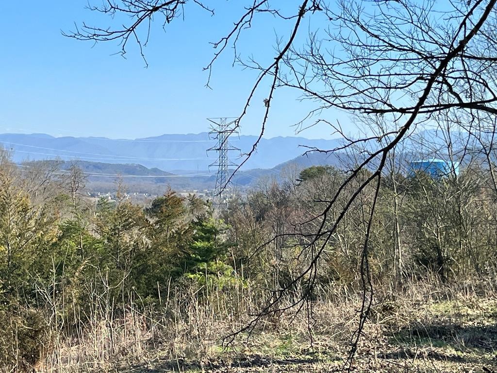 0 Ruth Lane Sevierville, TN 37862 - Photo 1 of 11