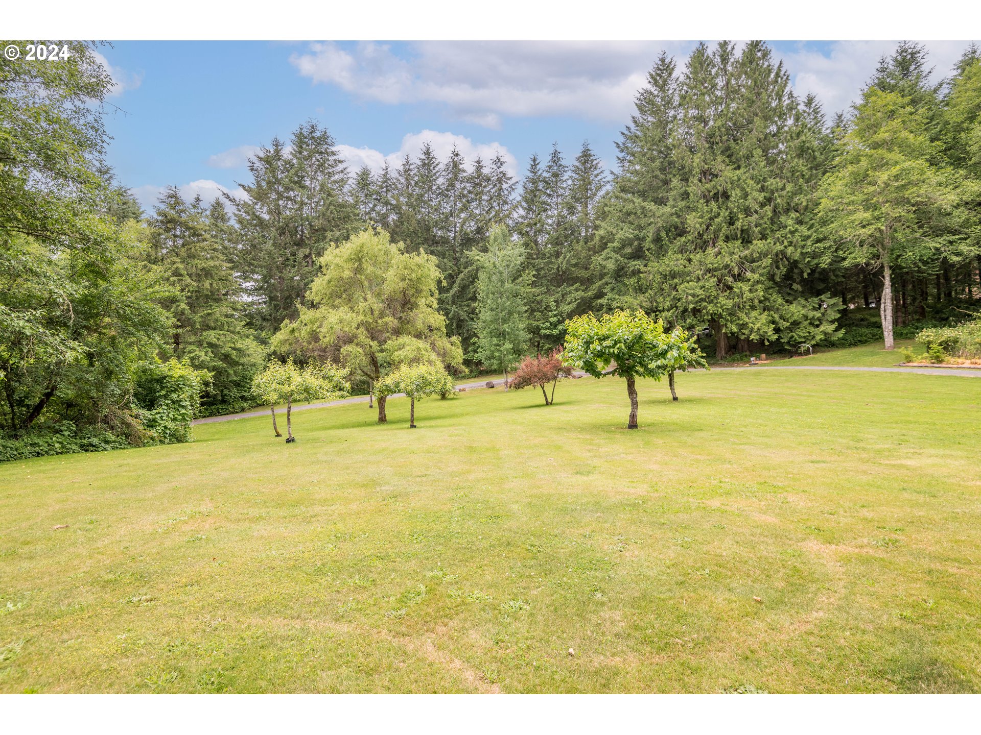 106 Hendrickson Road Vader, WA 98593 - Photo 23 of 39 Gallery Image 23