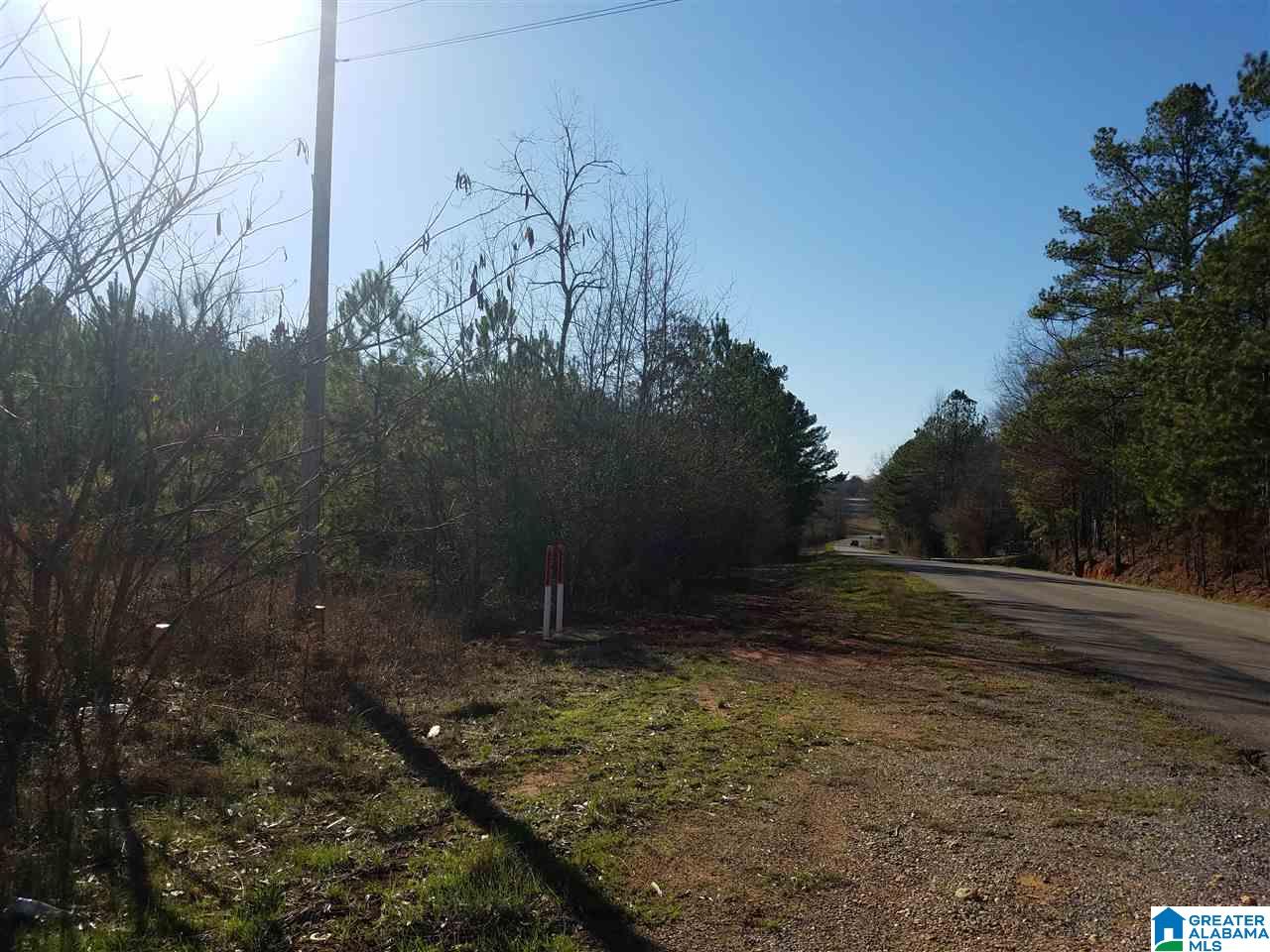 0 Cove Access Road, Unit 7 ACRES Talladega, AL 35160 - Photo 19 of 19