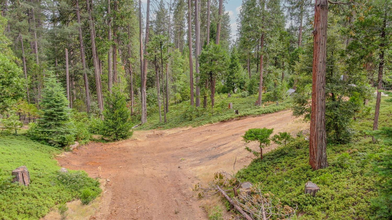 2895 Ponderosa Road Arnold, CA 95223 - Photo 48 of 52