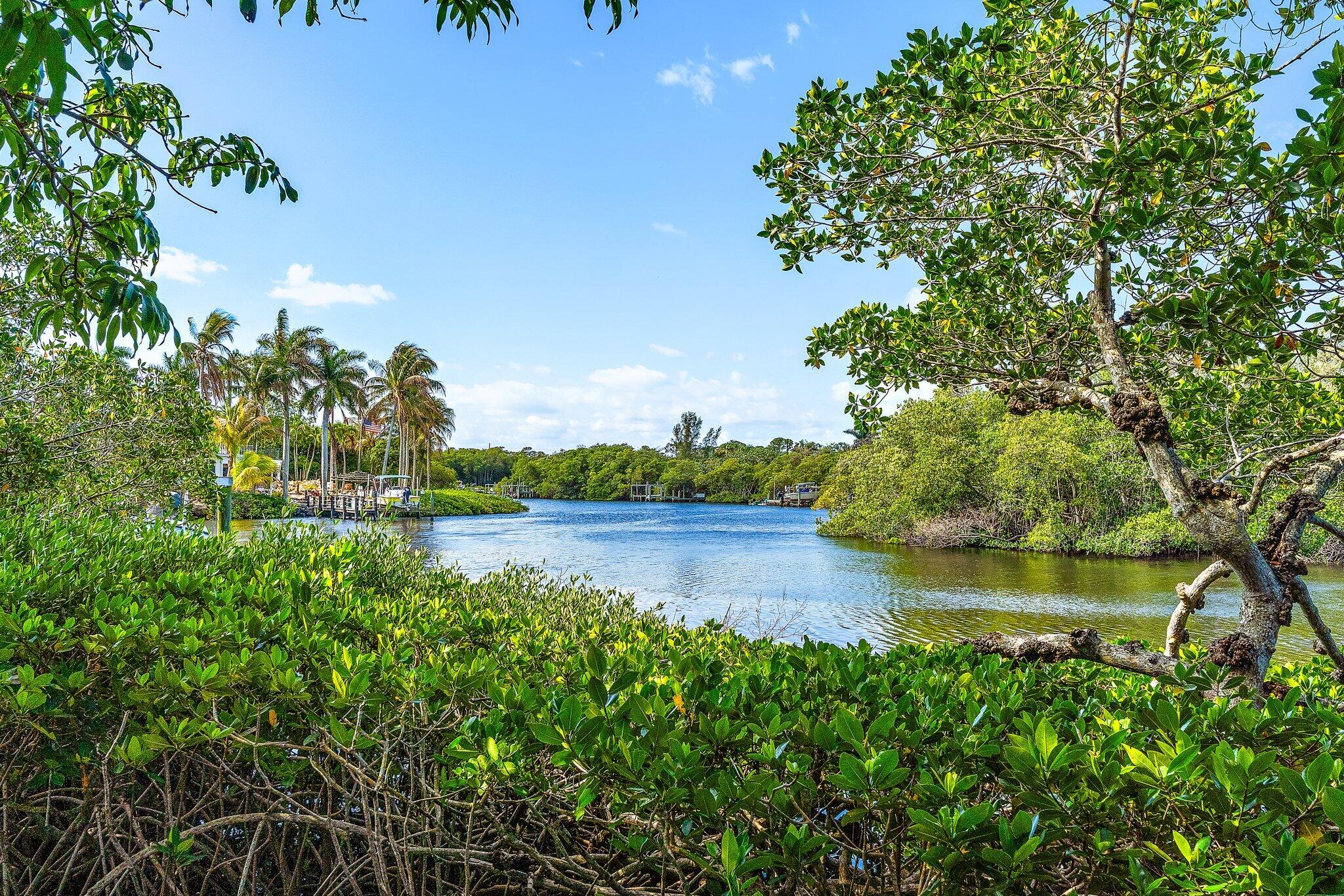 702 Warren Drive Jupiter, FL 33458 - Photo 24 of 76 a view of a lake with houses in the back