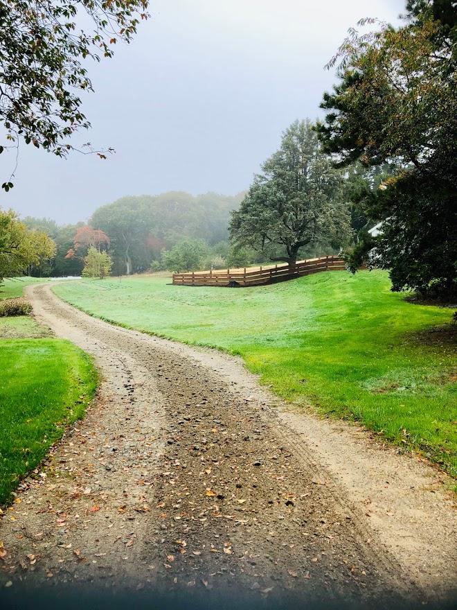 640 Setucket Road East Dennis, MA 02660 - Photo 4 of 57 a view of a field and trees around