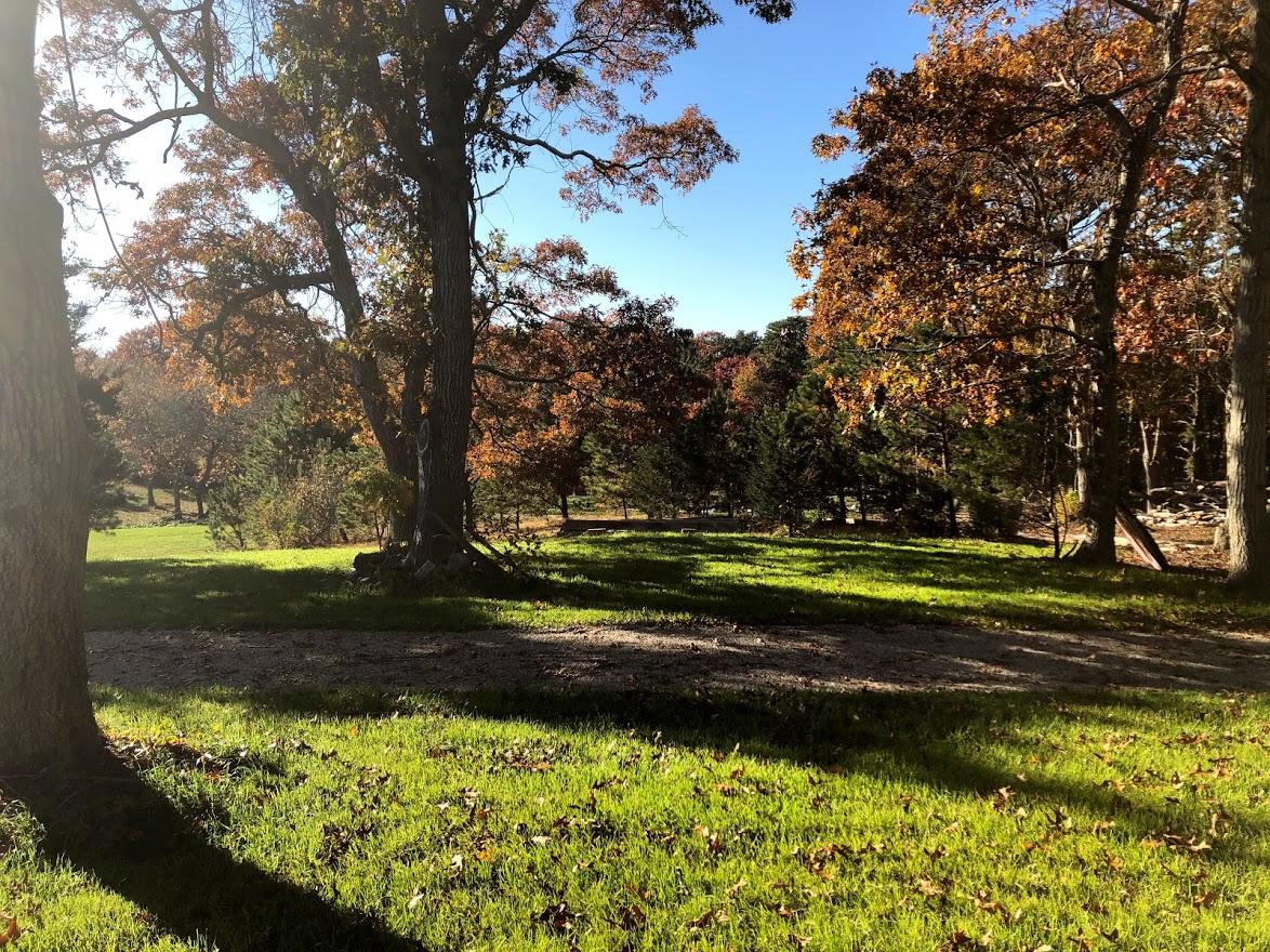 640 Setucket Road East Dennis, MA 02660 - Photo 8 of 57 a view of a yard