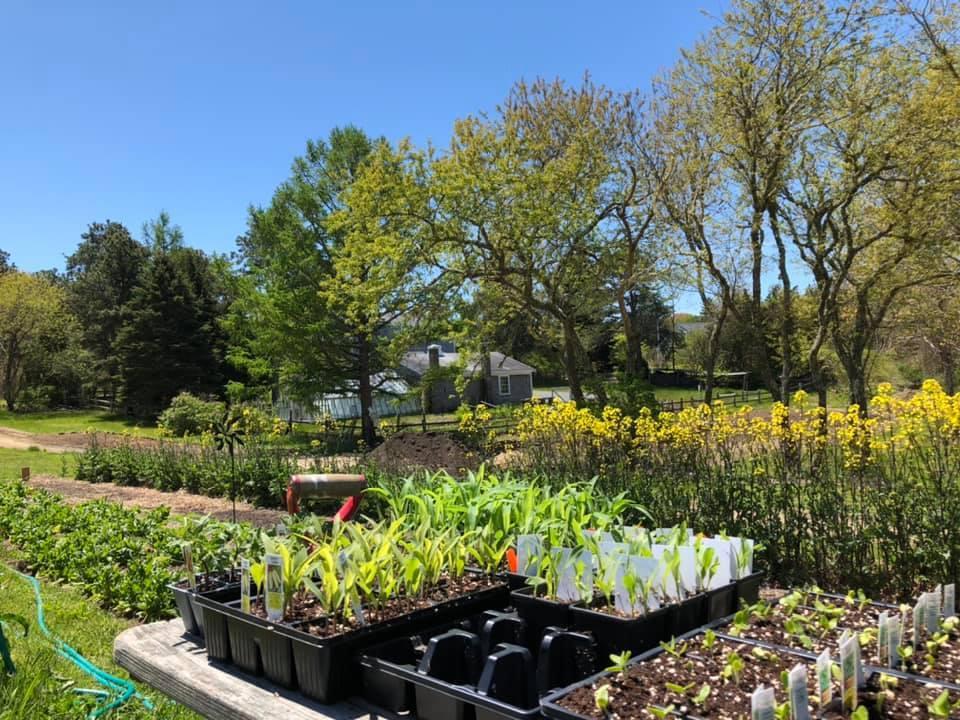 640 Setucket Road East Dennis, MA 02660 - Photo 9 of 57 98358894_245442580233193_221142389987737