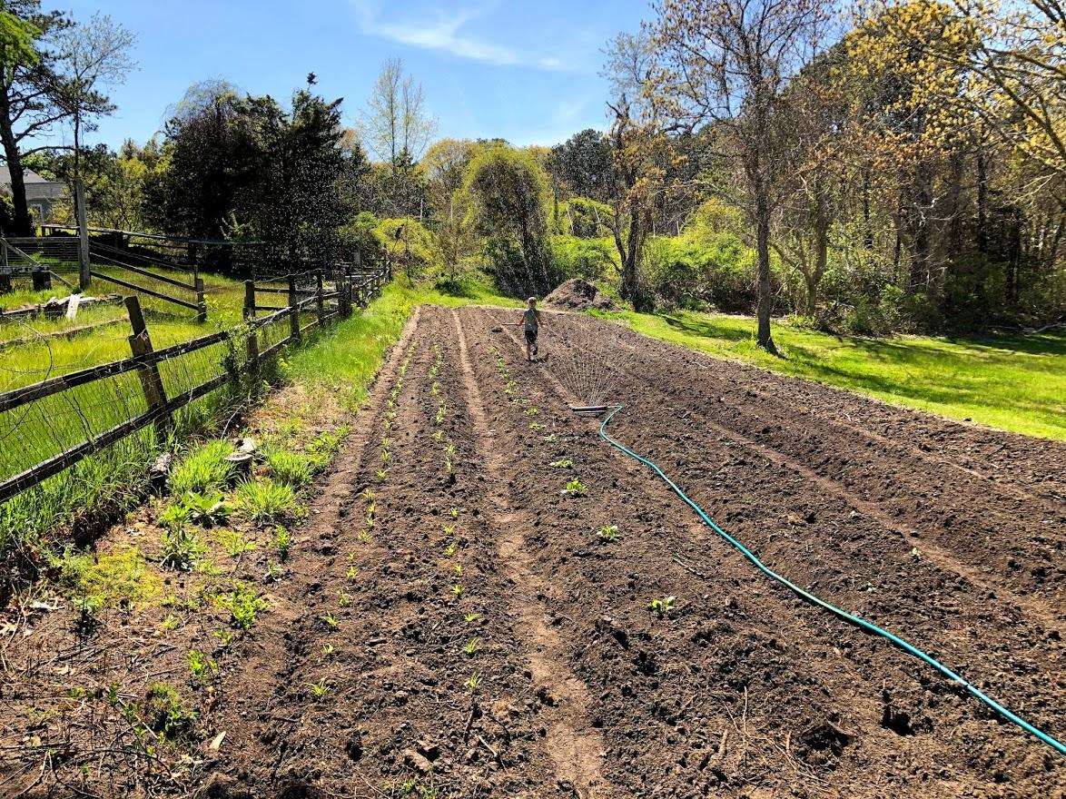 640 Setucket Road East Dennis, MA 02660 - Photo 10 of 57 IMG_2830