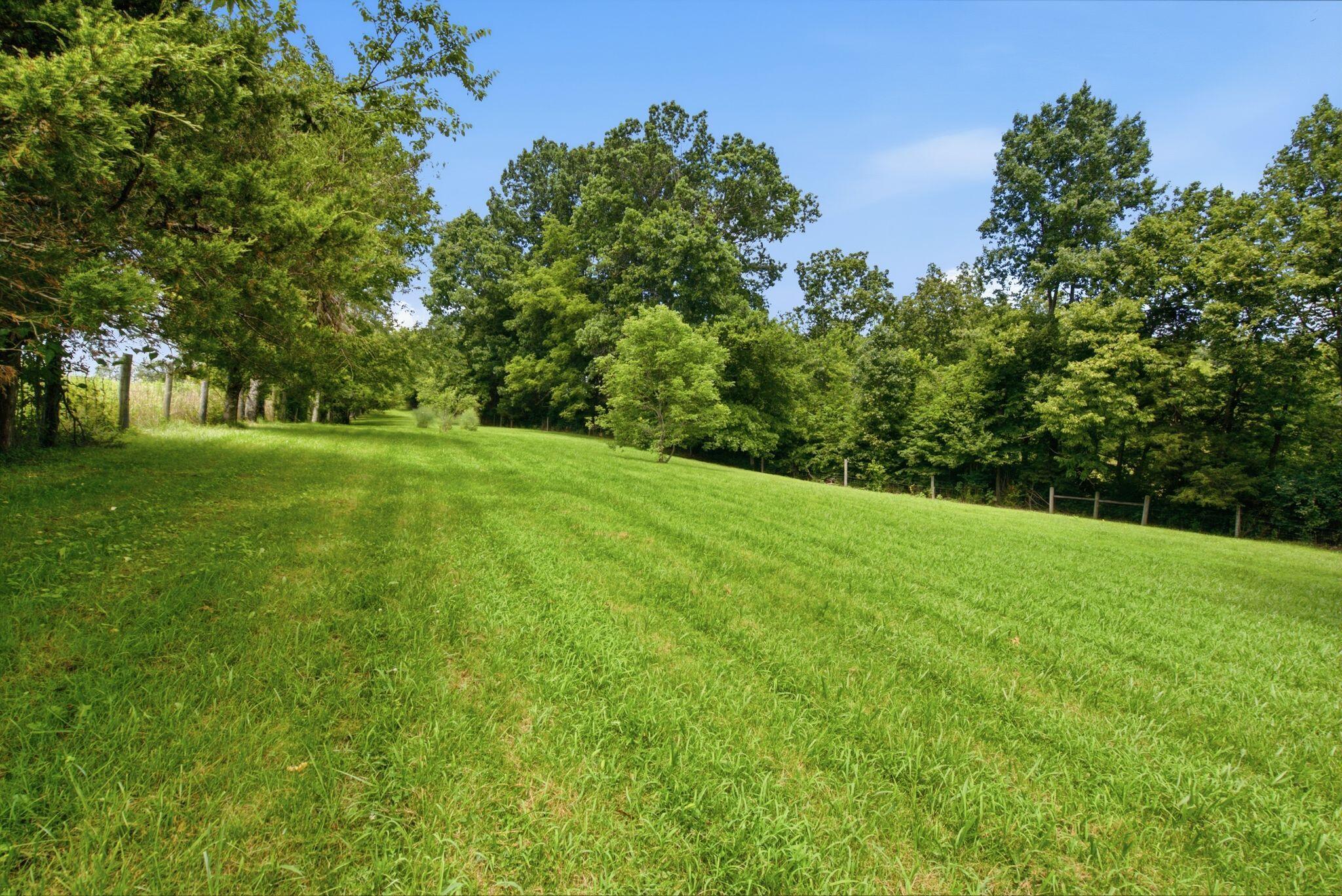 1077 Hammonds Creek Road Lawrenceburg, KY 40342 - Photo 40 of 52 dsc03692