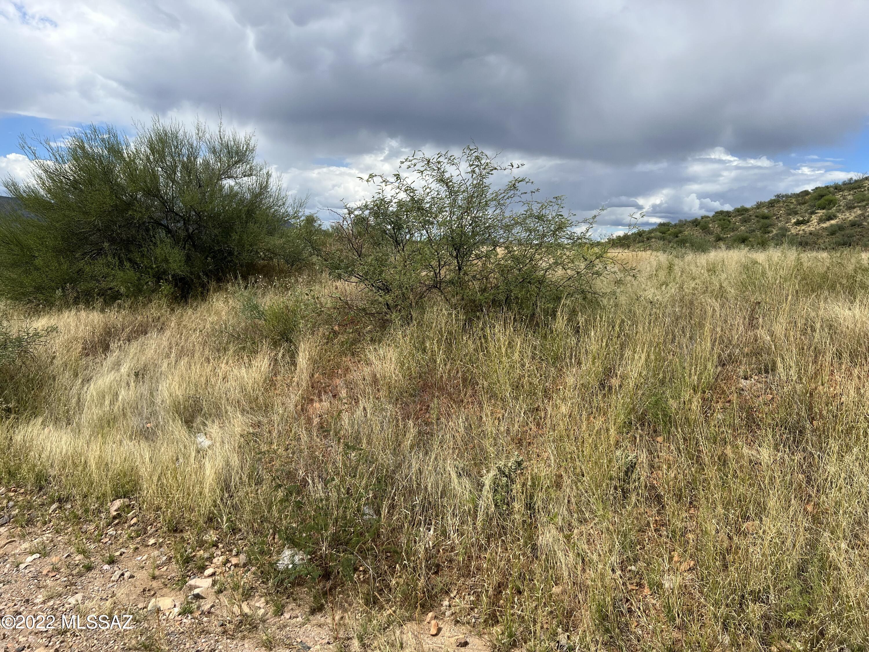 198 Calle Pulpo, Unit 35 Rio Rico, AZ 85648 - Photo 3 of 5