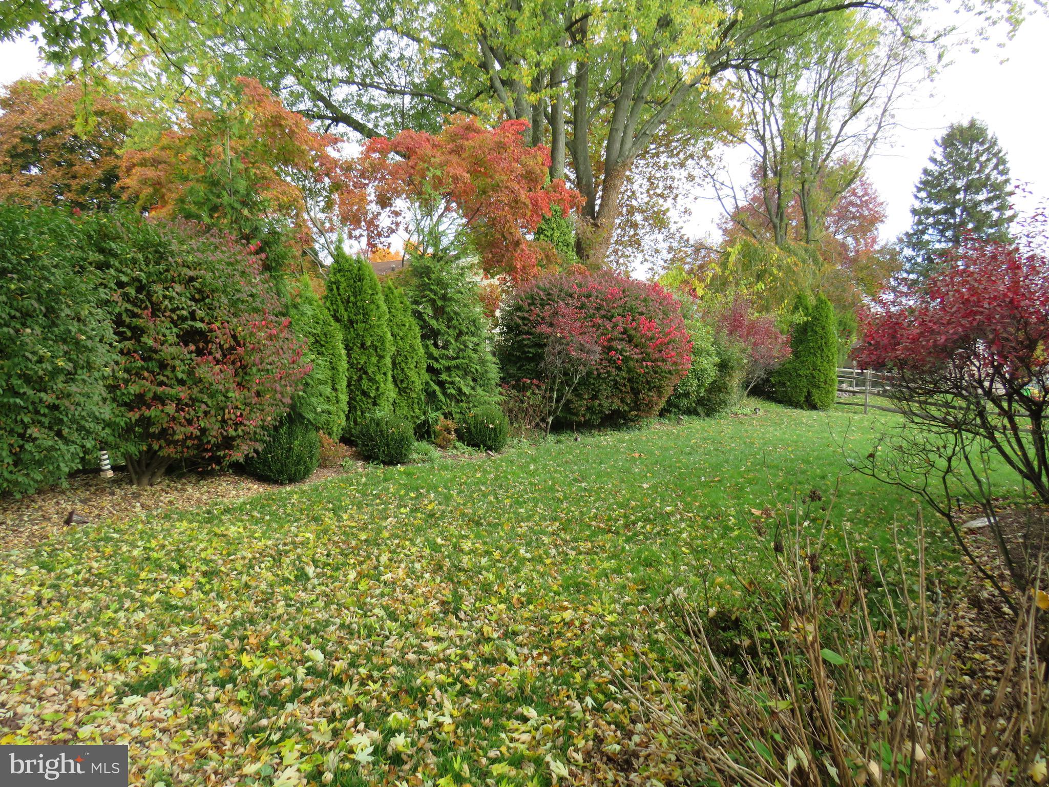 534 Winchester Road Warminster, PA 18974 - Photo 3 of 44