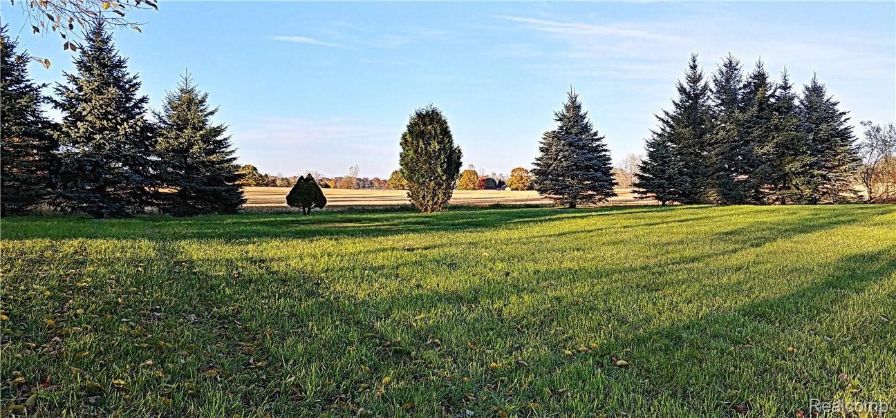 886 Chase Lake Road Howell, MI 48855 - Photo 48 of 52 Rear View.jpg
