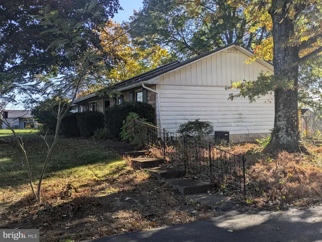 a view of backyard with table and chairs and a large tree