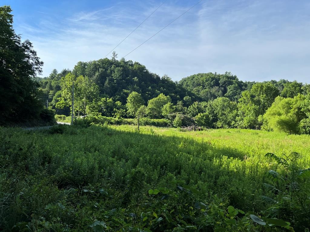 4993 Bogard Road Cosby, TN 37722 - Photo 7 of 40