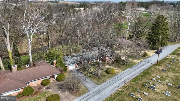 a view of banana tree