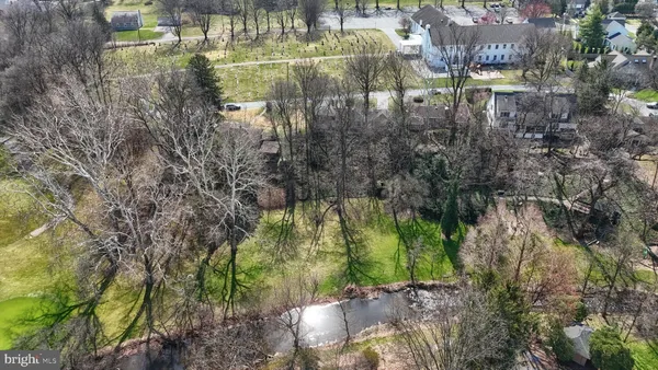 a view of a lush green forest with lots of trees