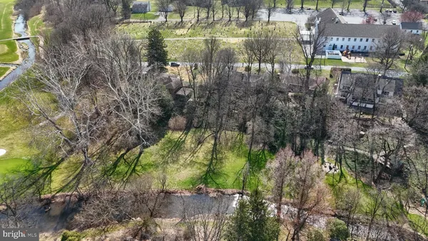 a view of a yard with plants