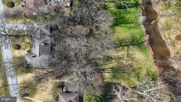 a view of a yard with plants