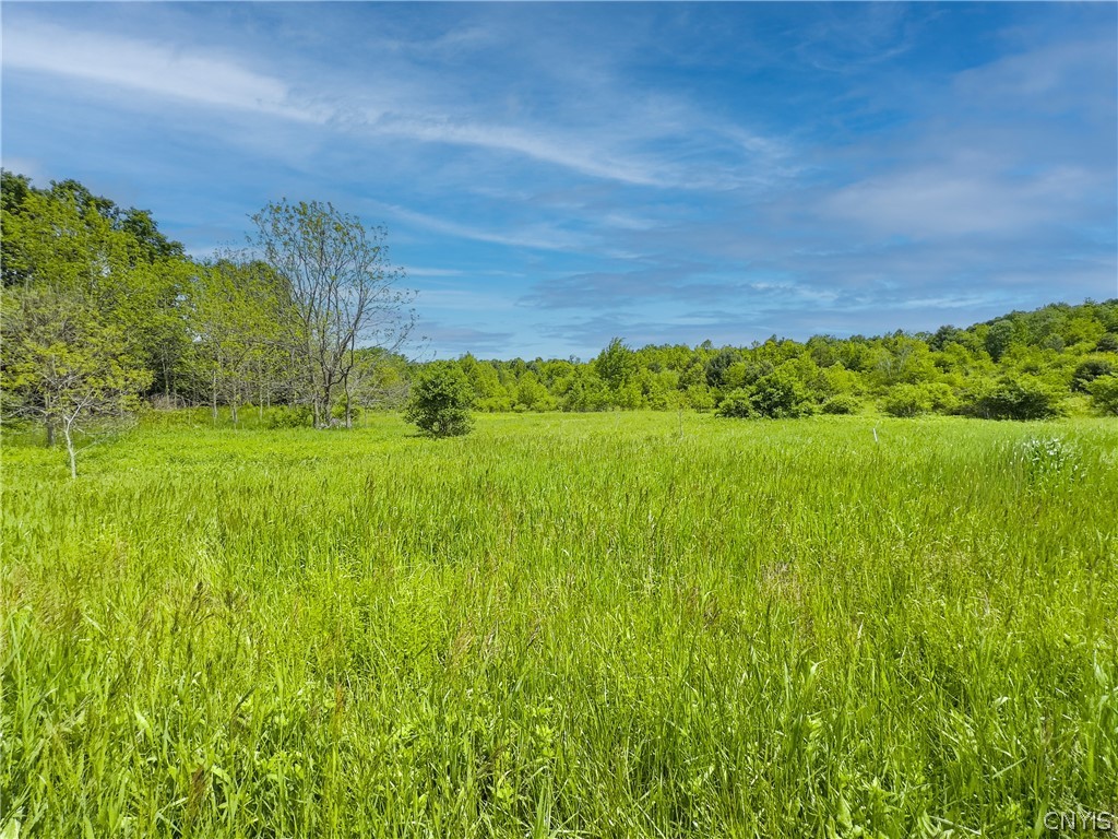 4 County Route Fulton, NY 13069 - Photo 31 of 37