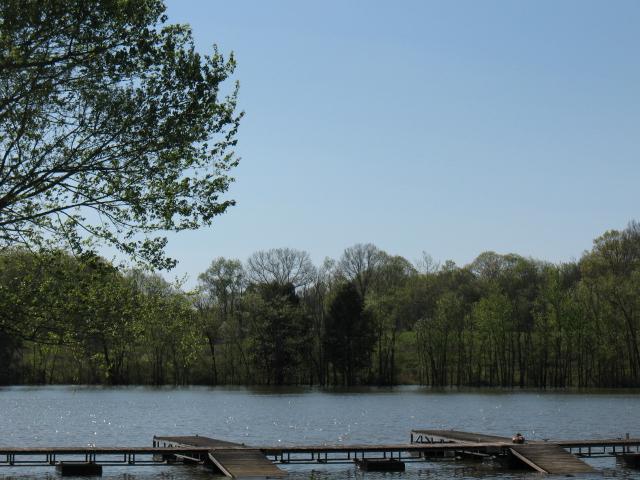 a view of a yard