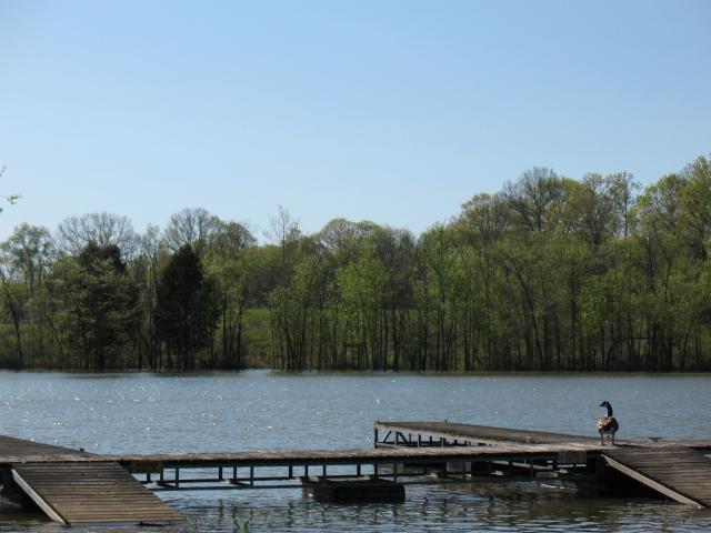 3 C Mann Road Lebanon, TN 37087 - Photo 3 of 4 a view of a yard