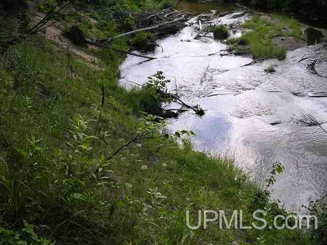 Tbd Gold Canyon Road Pelkie, MI 49958 - Photo 4 of 9