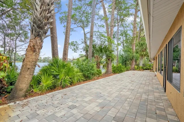 a view of a garden with pathway