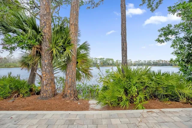 a couple of palm trees sitting in front of a yard