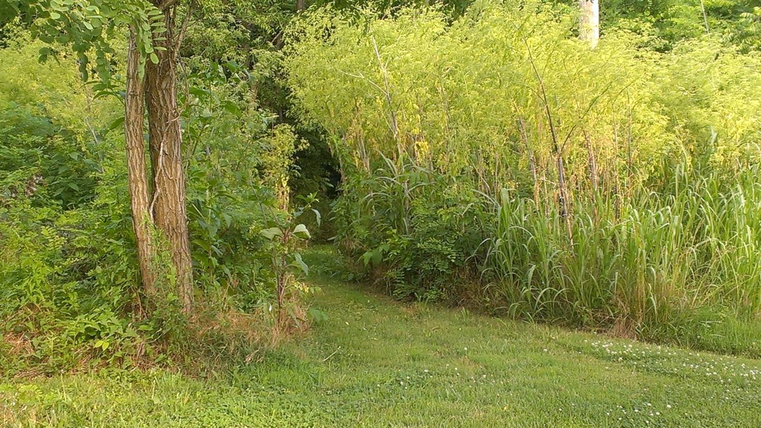 2153 Grapevine Road Harrodsburg, KY 40330 - Photo 13 of 16 Photo 13